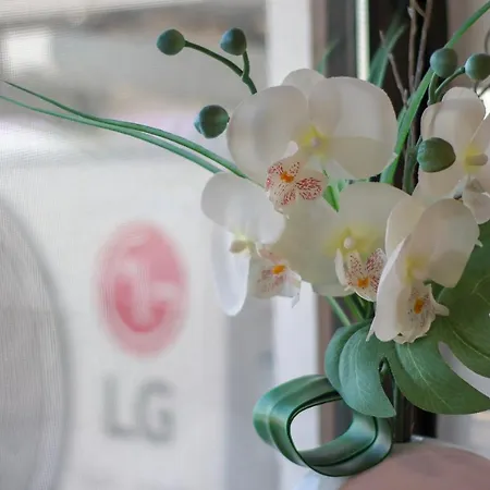 Janela Mar Vip 아파트 Ponta Delgada