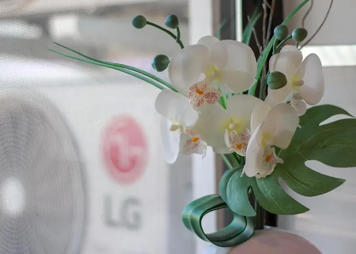 Janela Mar Vip Apartament Ponta Delgada